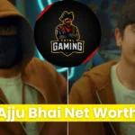 Ajju Bhai Total Gaming Net Worth Hindi